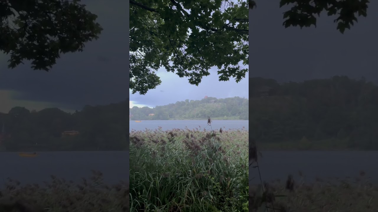 Autumn Arriving in Stockholm with Rain 🌧️