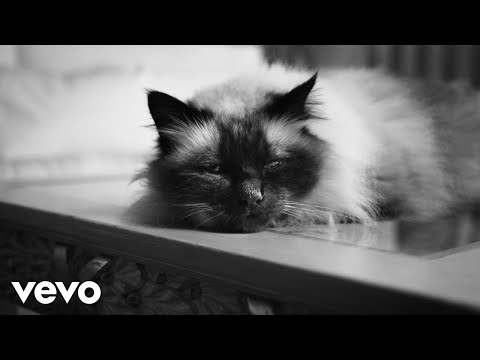 Guè - 25 Ore (Visual)