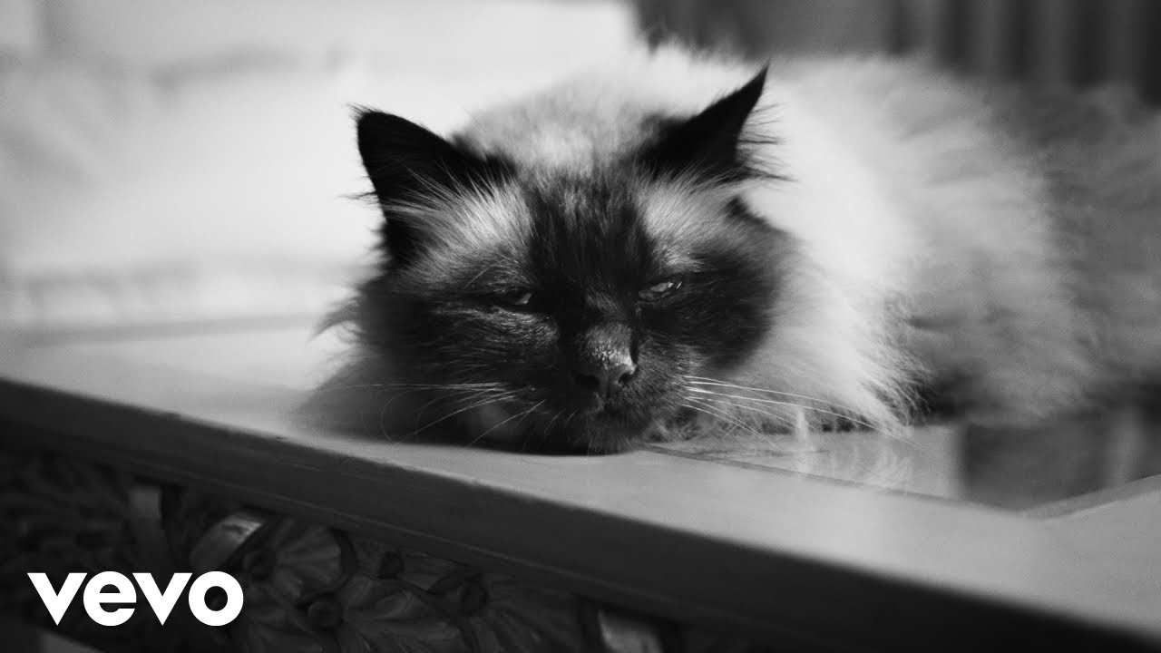 Guè's New Album 'MR. FINI' 🎵 – Listen Now & Watch the Visuals!