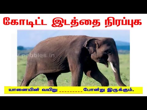 கோடிட்ட இடத்தை நிரப்புக | Learn Tamil for Beginners | Tamil Learning Activities