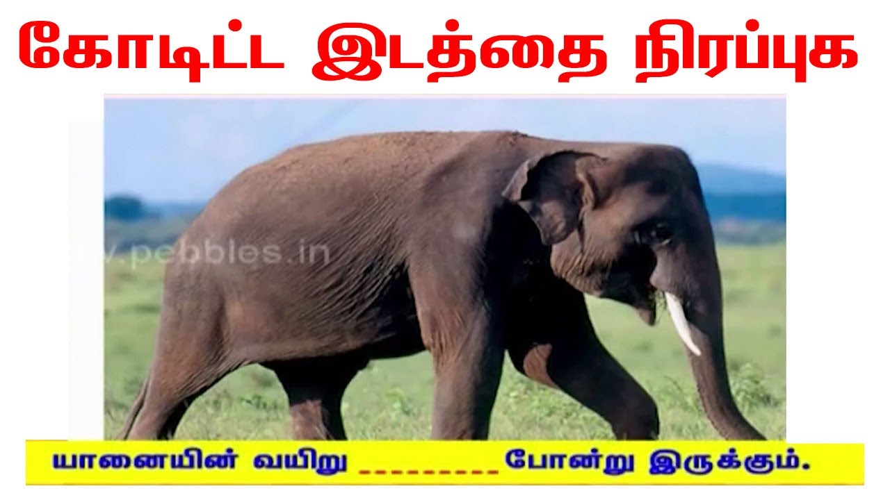 படிப்படியாக தமிழை கற்றுக்கொள்ளுங்கள்! | கோடிட்ட இடத்தை நிரப்பும் பயிற்சிகள் ✍️