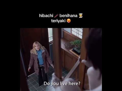 Herro??? 😂 Meme for a Laugh