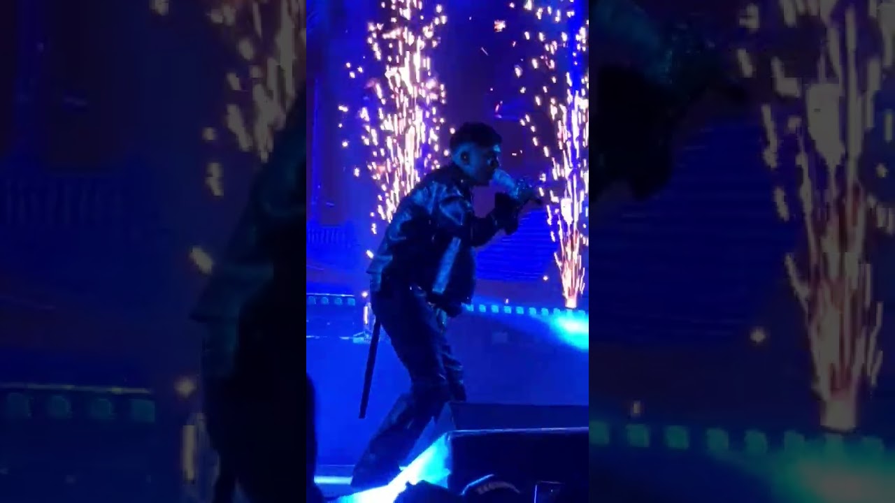 Gata Only Live Performance 2025 🎤 | Watch the Epic Show!