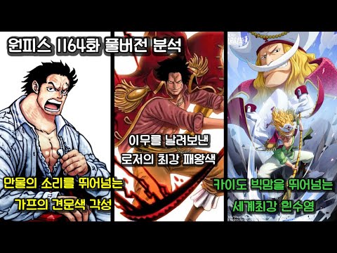 [원피스 1164화 풀버전 분석] 이무를 날려보낸 로저의 패왕색, 만물의 소리를 넘는 가프의 견문색, 세계최강 흰수염