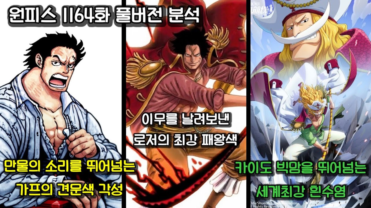 원피스 1164화 완전 분석! 로저의 패왕색, 가프의 견문색, 흰수염의 최강 힘 공개🔥