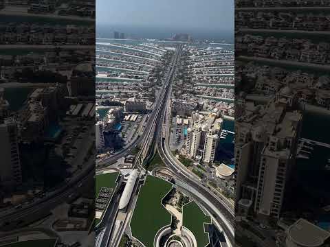 The Amazing Dubai Palm Jumeirah #burjkhalifa #travel #dubaiattractions #palmjumeirah  #palmdubai