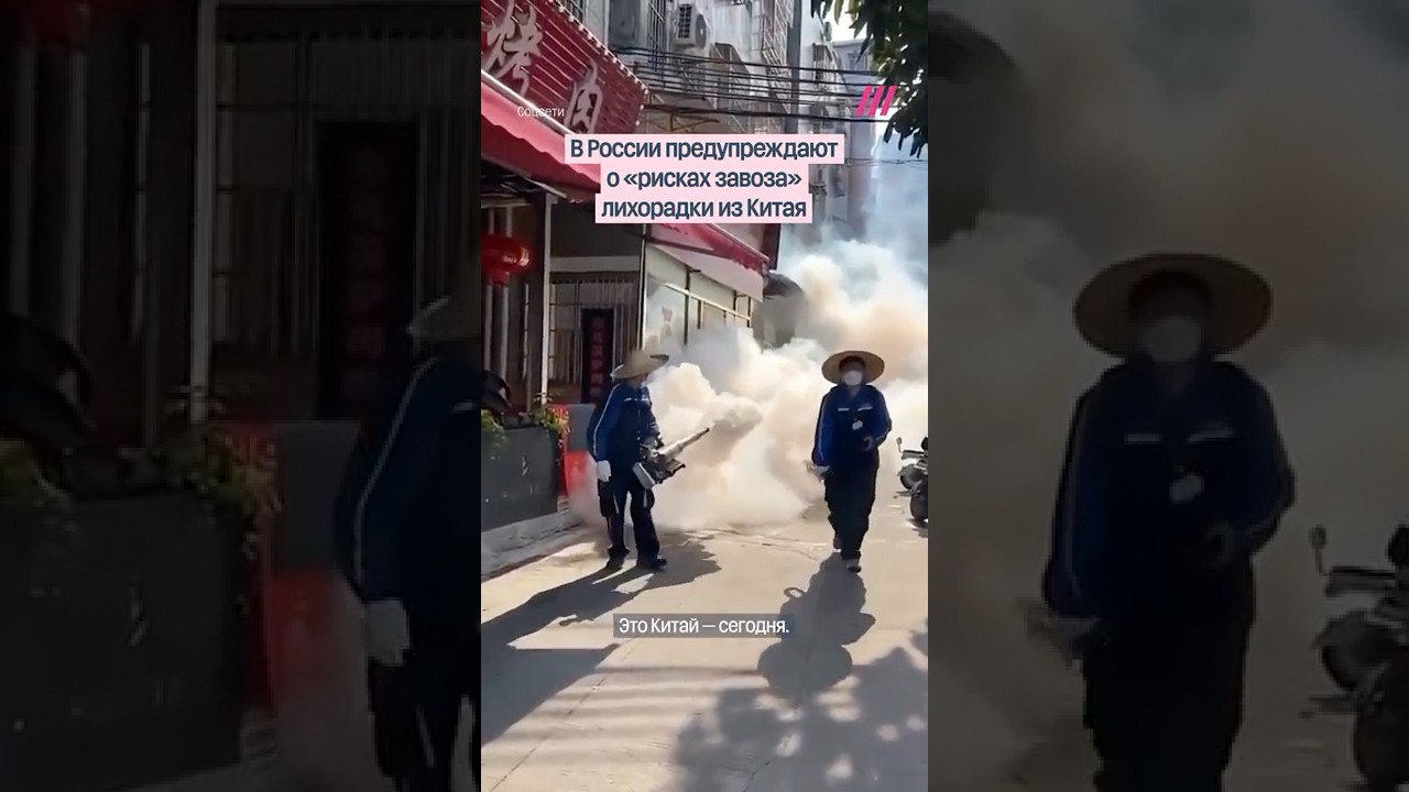 В Китае зафиксирована вспышка лихорадки чикунгунья 🚨