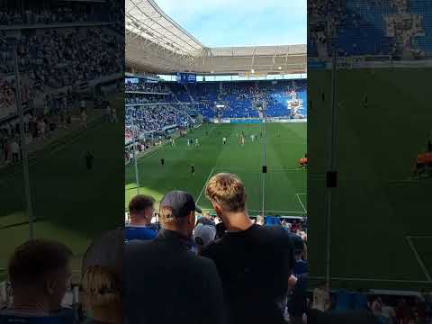 3-1 Hoffenheim vs Wolfsburg #sports #sportsteams #ytviral #football #sportsteams #viralshorts