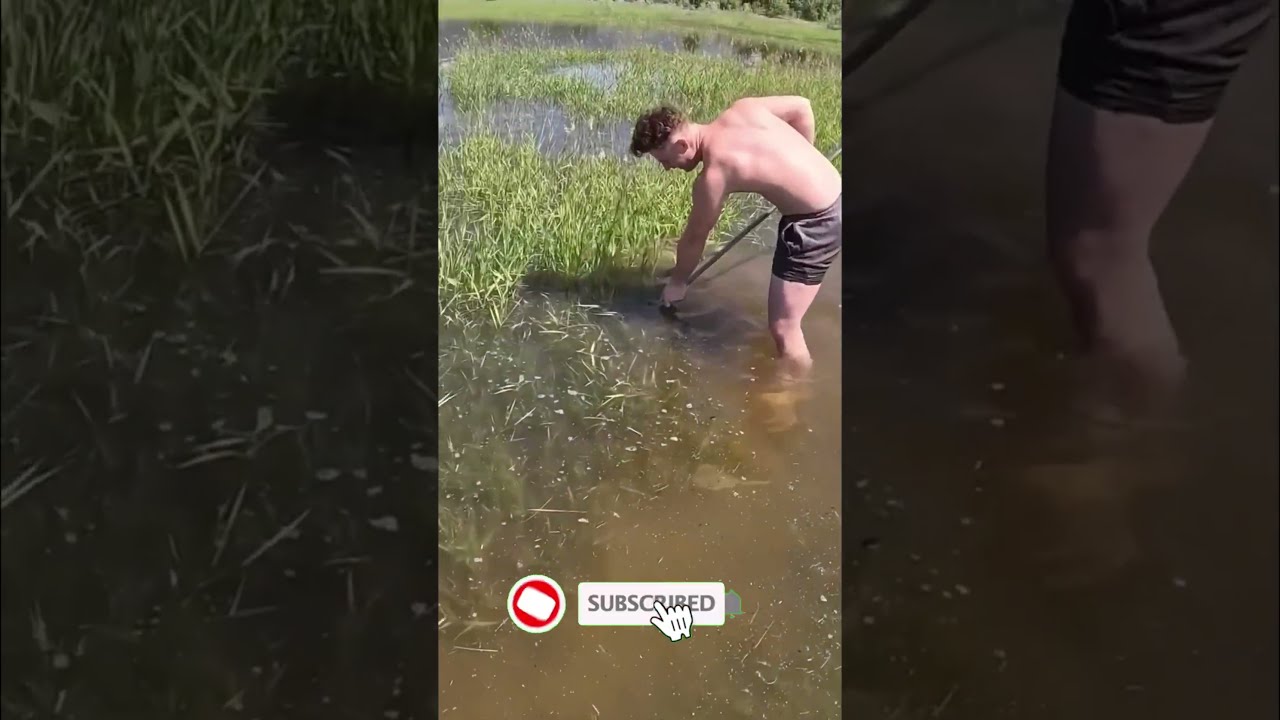 Большой сазан на острагу 🎣