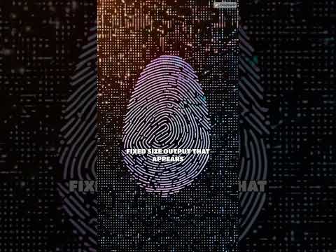 what is hash in crypto currency ?