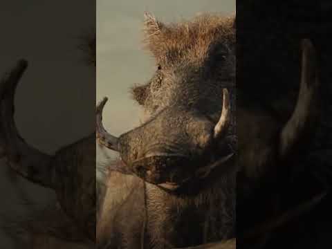 insta movies #shorts #foryou #pakistan #viral #comedy #funny #youtubeshorts #sindhi #subscribe #fyp