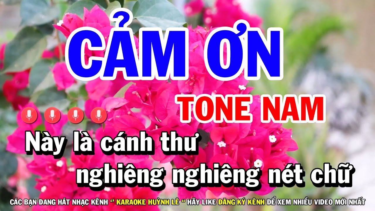 Karaoke Cảm Ơn - Tông Nam, Beat Dễ Hát Nhạc Sống 🎤