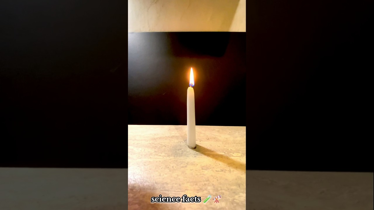 Science, Not Magic: Fascinating Facts 🧪