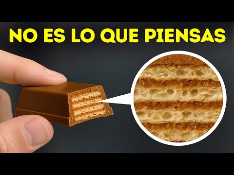Datos Curiosos de Alimentos que Investigamos para que Tú No Tengas Que Hacerlo