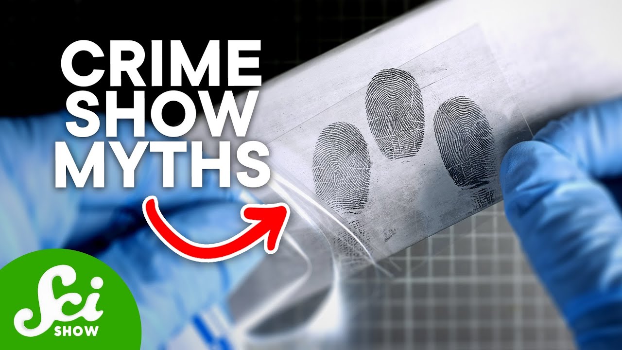 Unlocking Crime Scenes: A Beginner's Guide to Forensics 🔍