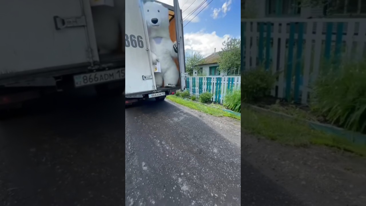 Белый Медведь-Сюрприз из Грузовика!❄️