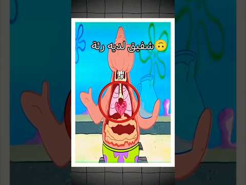 بسيط لديه رئتان 🫁 اكتشف مع سبيونجبوب