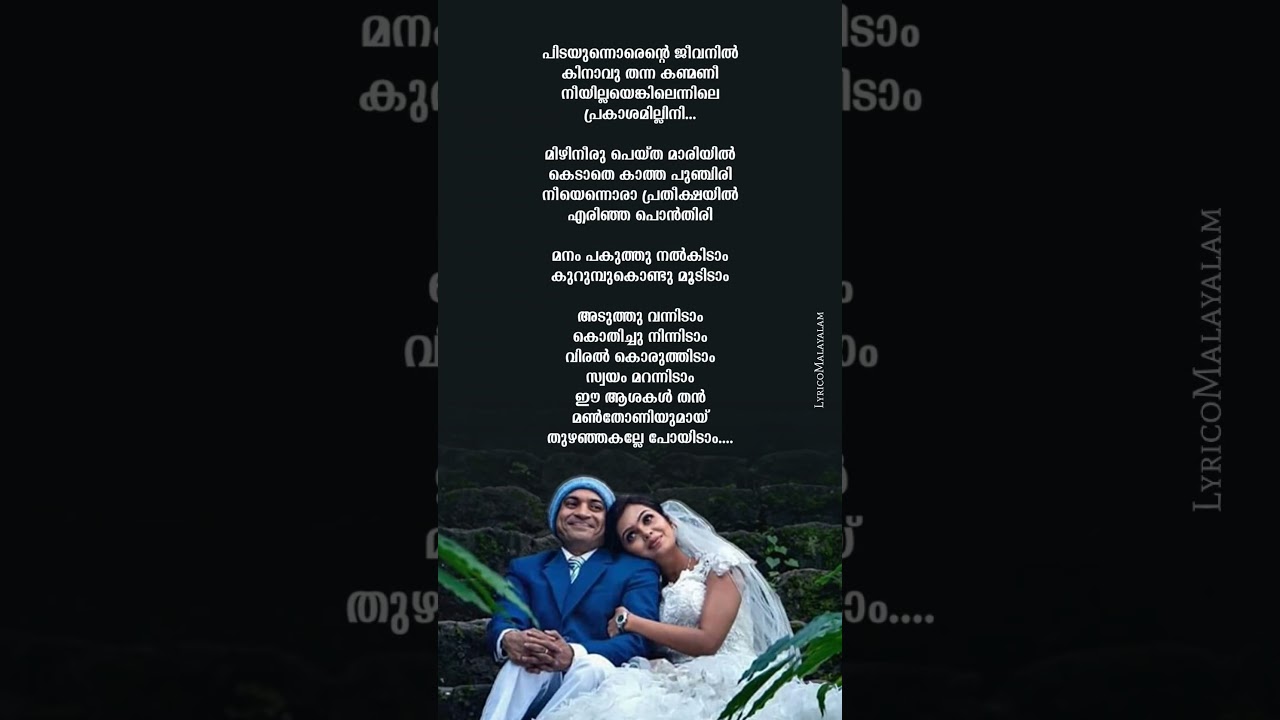 Aradhike Song lyrics malayalam | #malayalam #songlyrics