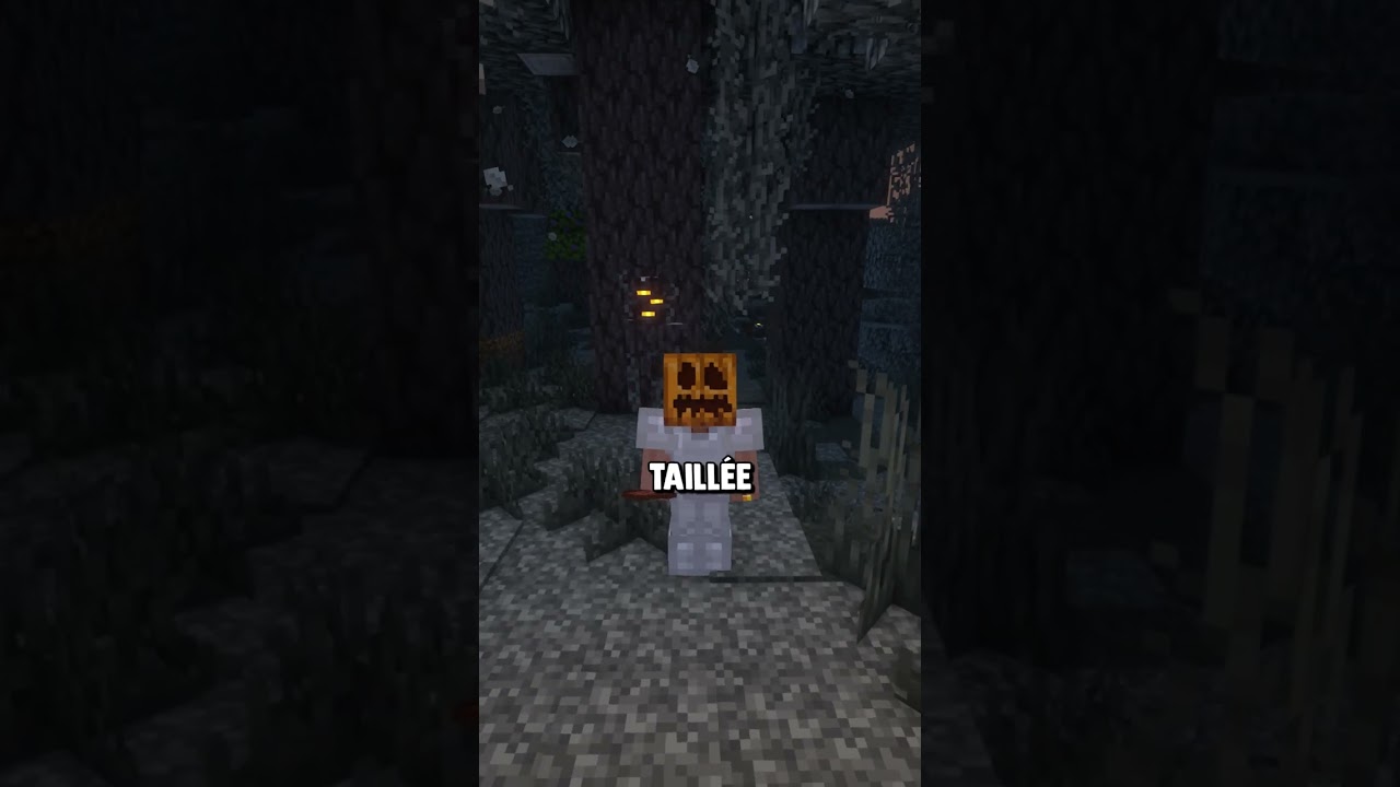 Nouvelle Version de Minecraft ❤️