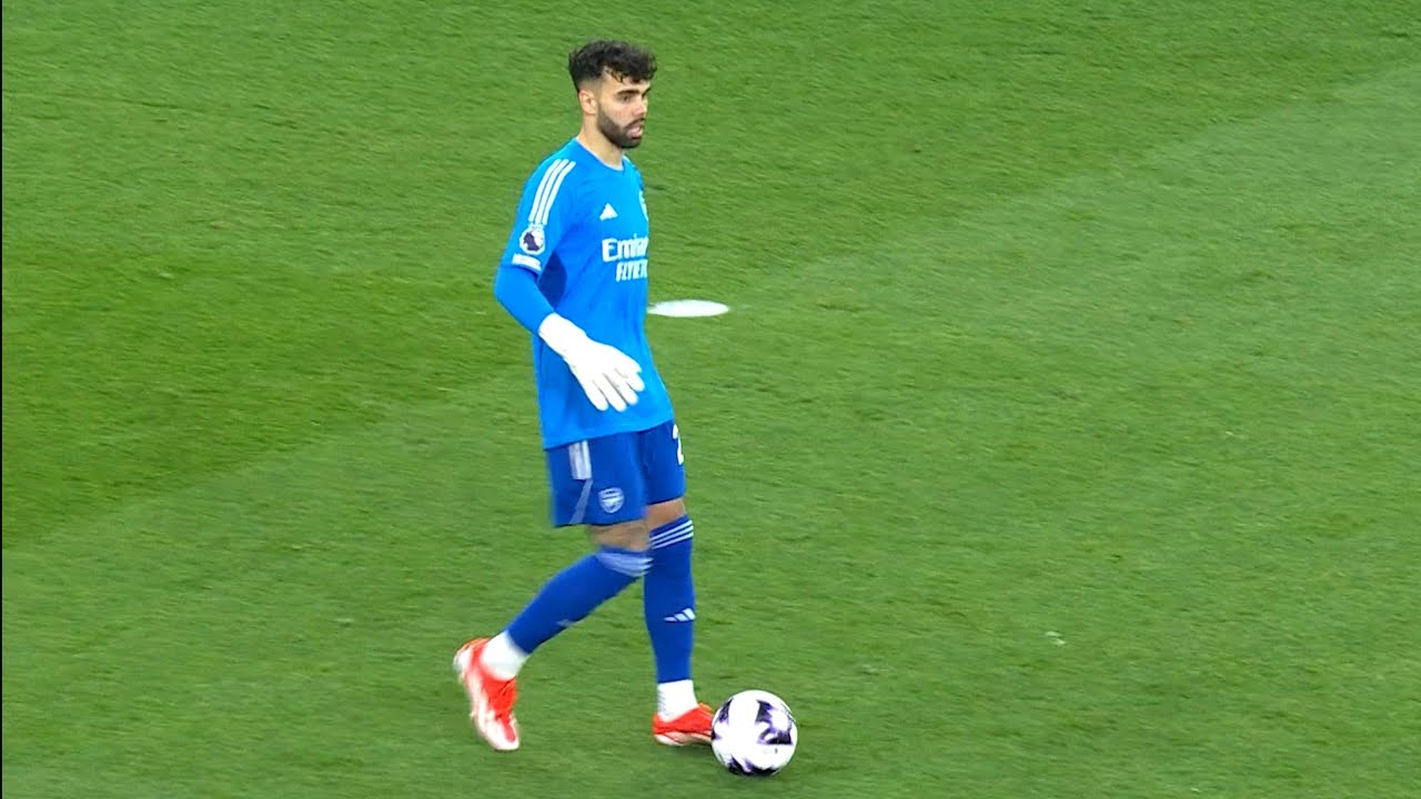 Top David Raya Highlights of 2024 🧤 | Must-See Saves and Moments