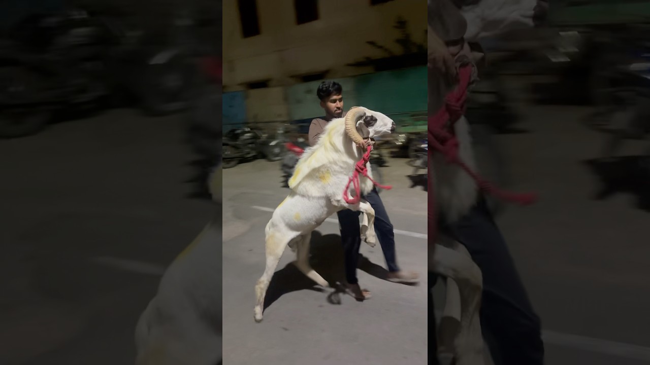 Kan Sevala ❤️ - Anirudh's New Movie Trailer 🎬