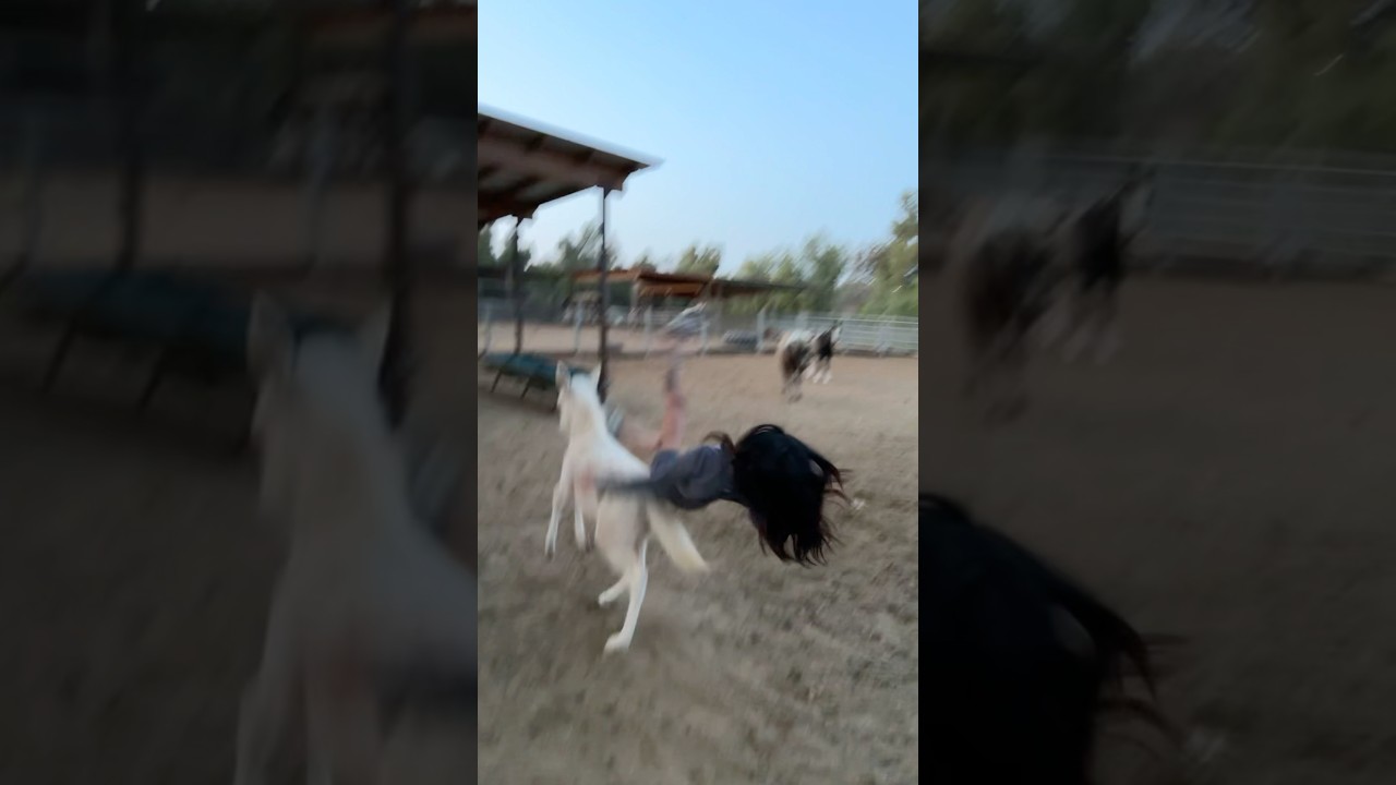 Jennifer Ngo Riding a Horse 🐎