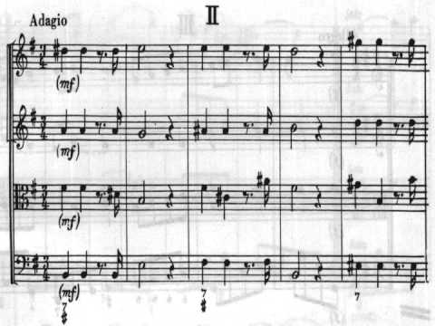 Vivaldi's Concerto for Strings in G, 'Alla Rustica' 🎻