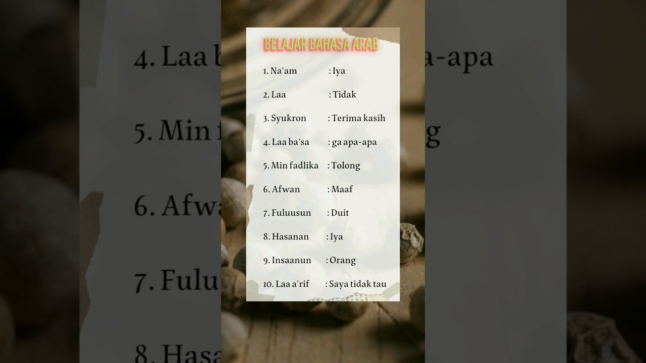 Mudah dan Cepat! Belajar Bahasa Arab Pemula dengan Kosakata Harian ✨