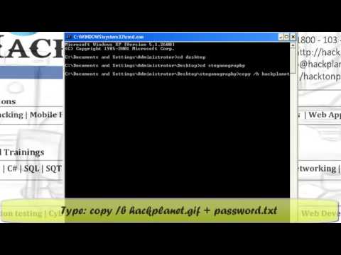 Chapter 15 Basic Steganography Using CMD