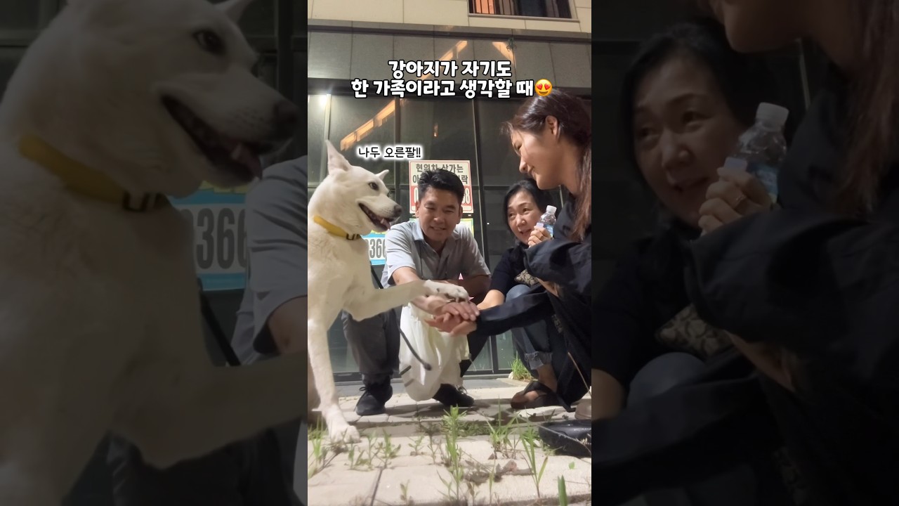강아지와 가족의 특별한 유대 ❤️