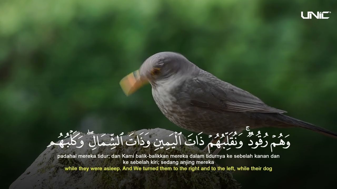 Fakhrul's Surah AlKahfi Recitation 🎧