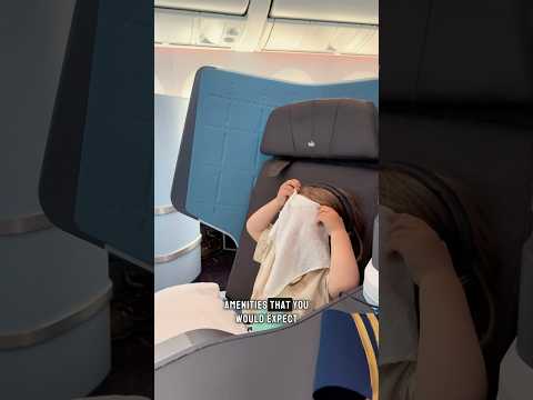 KLM Business Class with a Toddler — Worth It?