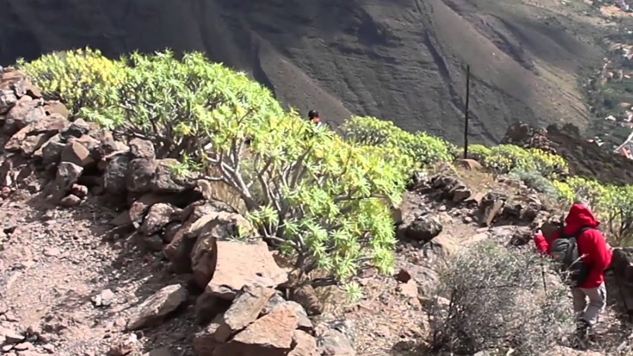 La Gomera Adventure 2015 π