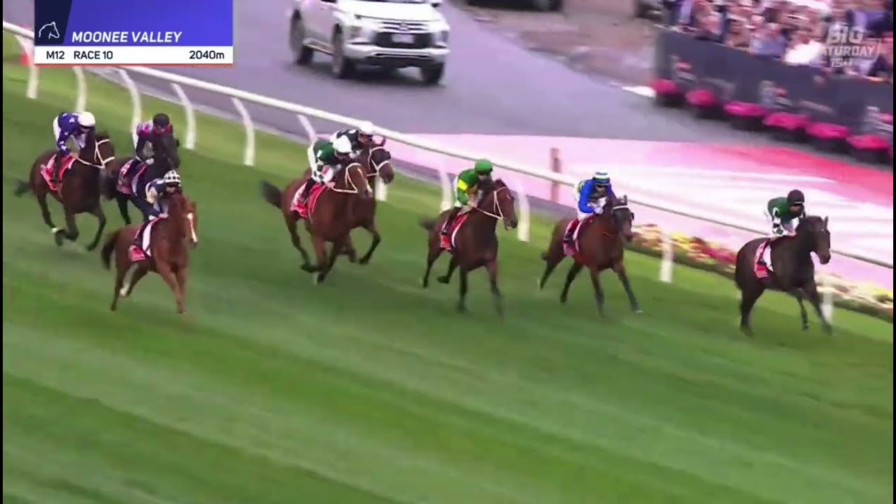 Cox Plate 2025: Via Sistina Highlights 🏆