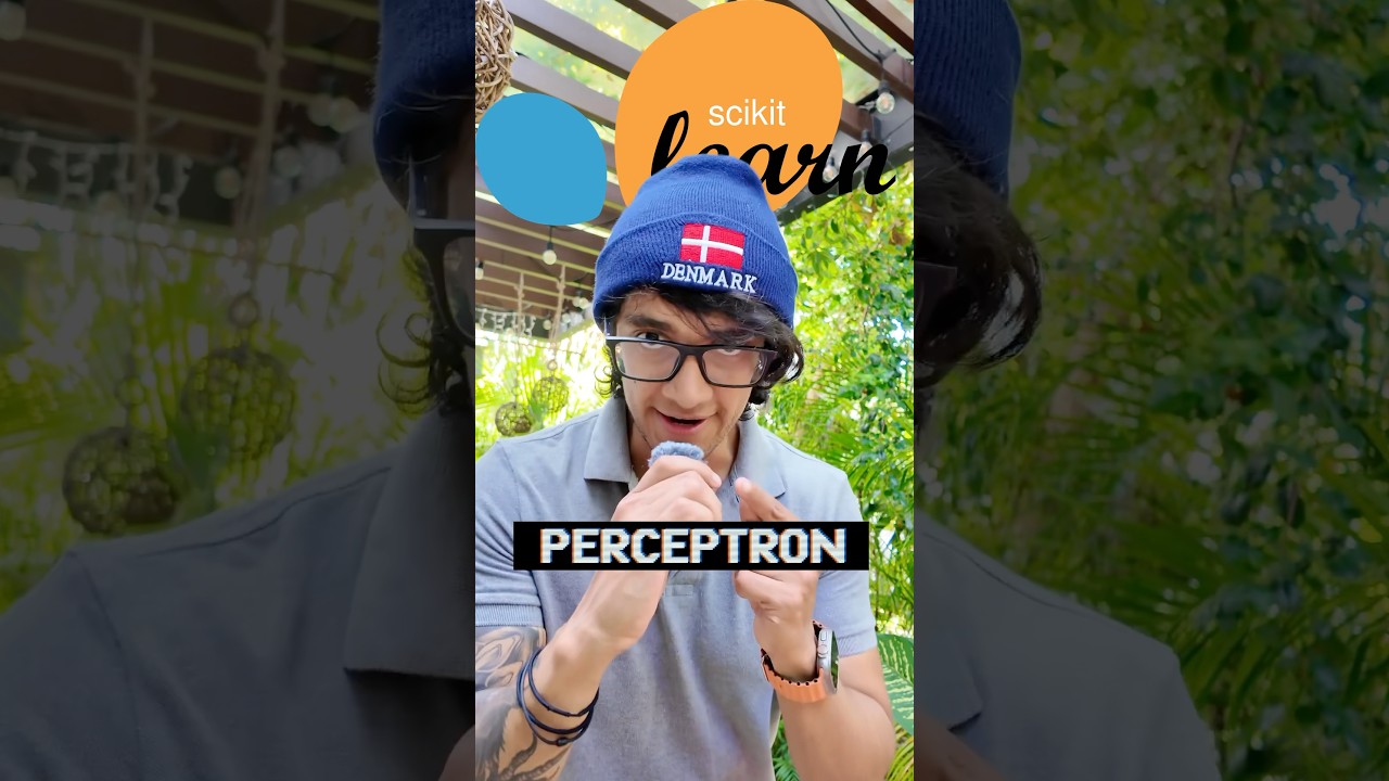 Aprende a Crear un Perceptrón desde Cero en Python con Scikit-Learn 🚀