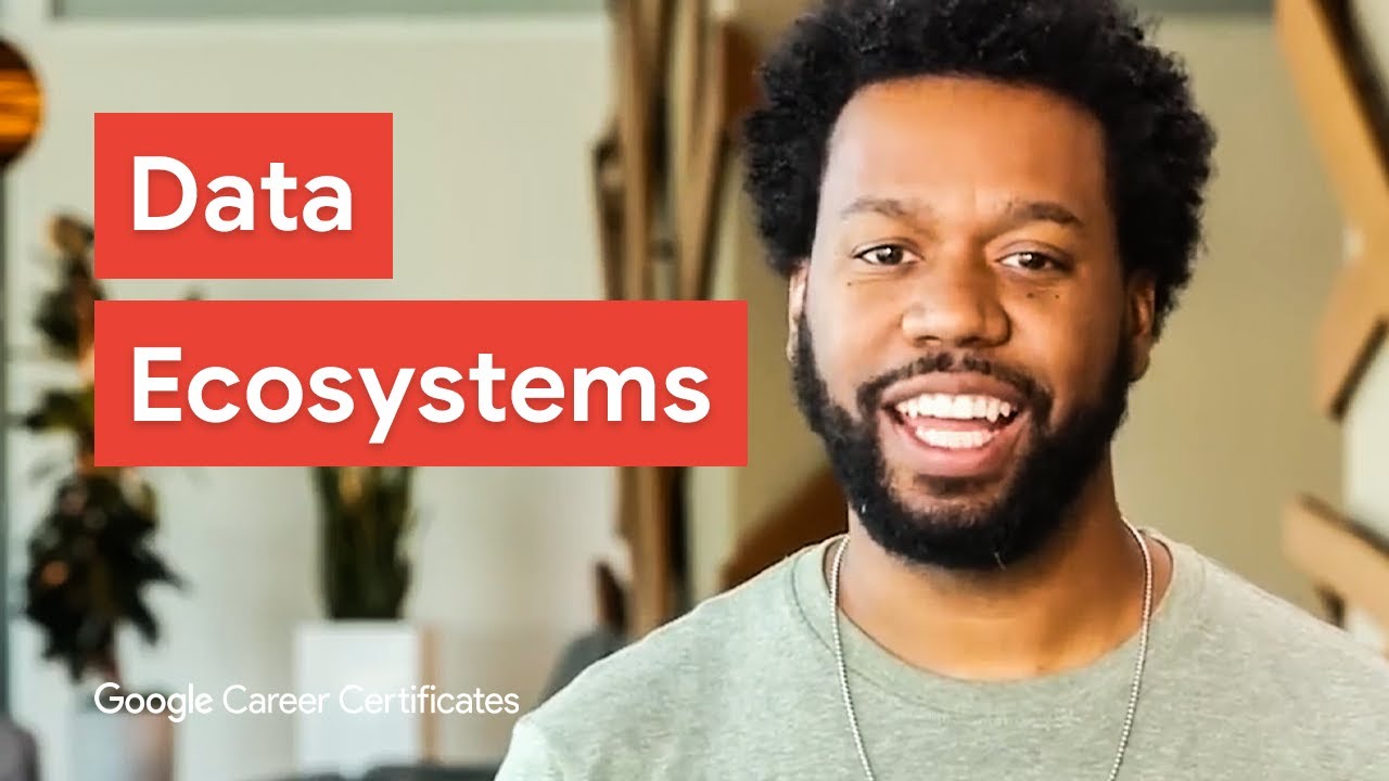 Understanding the Data Ecosystem & Its Function 🌐