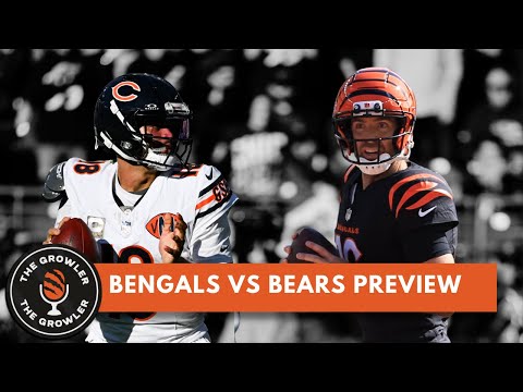 Bears at Bengals: Flacco injury update and predictions