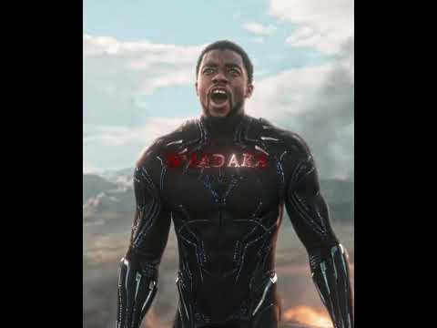 The Best Black Panther We’ve Ever Seen 😲🔥