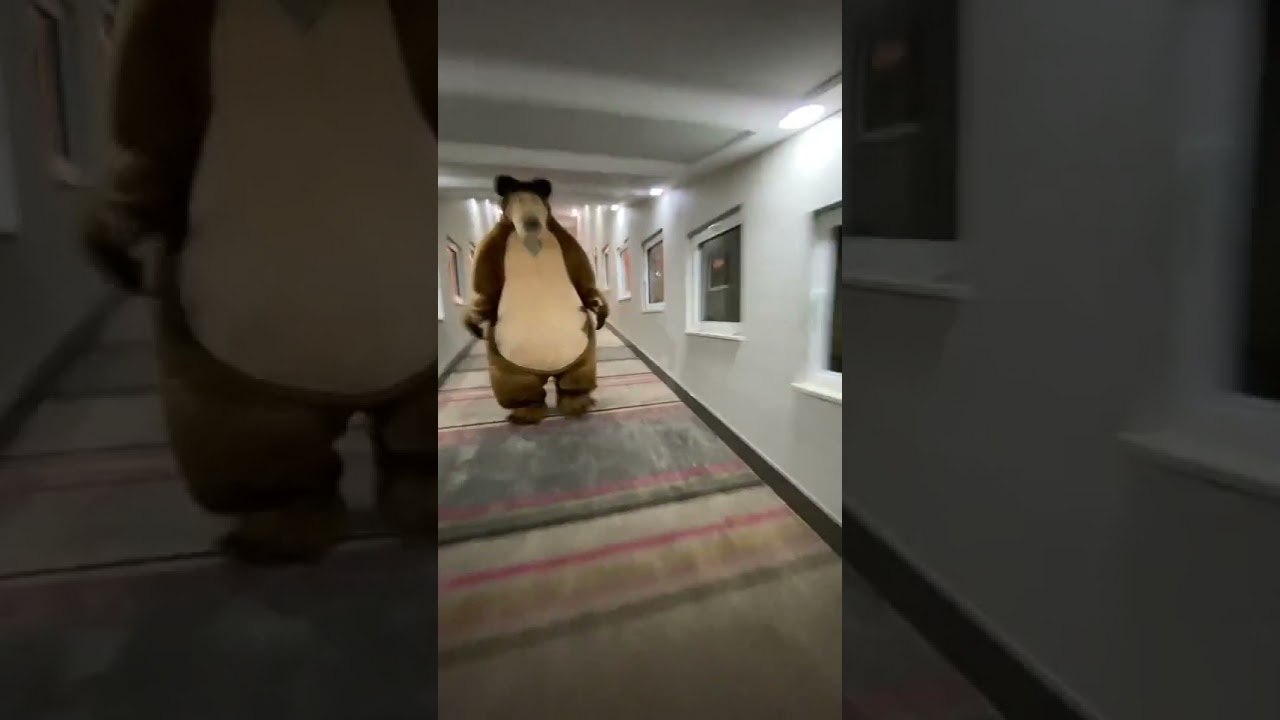 Bear Chases Person Through Hall ๐ป
