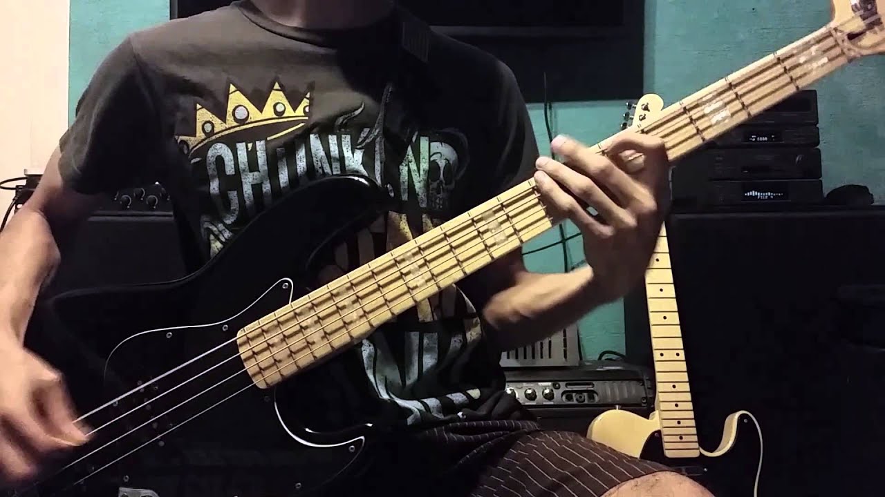 Blink-182 - Always Bass Cover 🎸