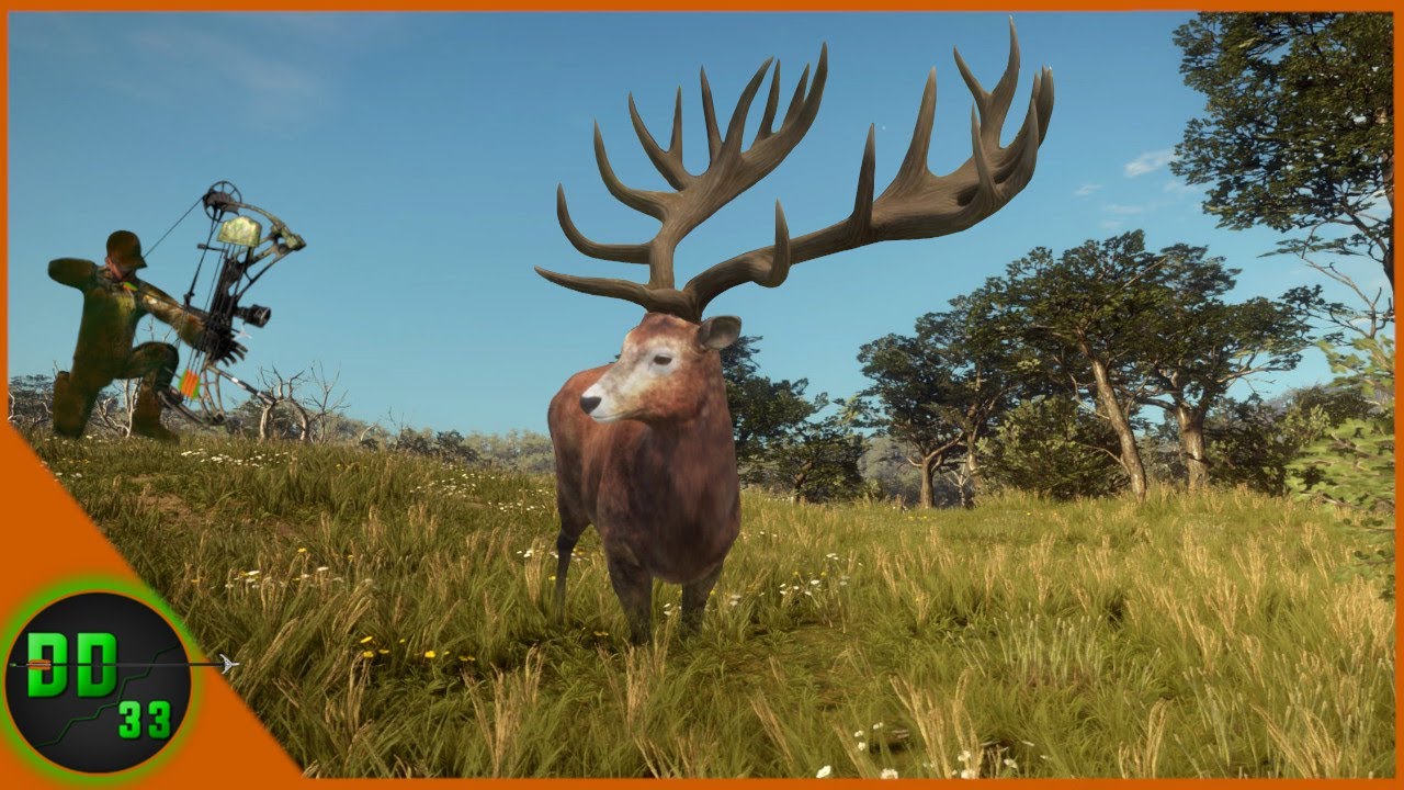 Bow Hunting Red Deer in Call of the Wild 🦌
