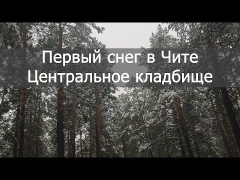 Погода в Чите. Центральное кладбище. 03.10.2020