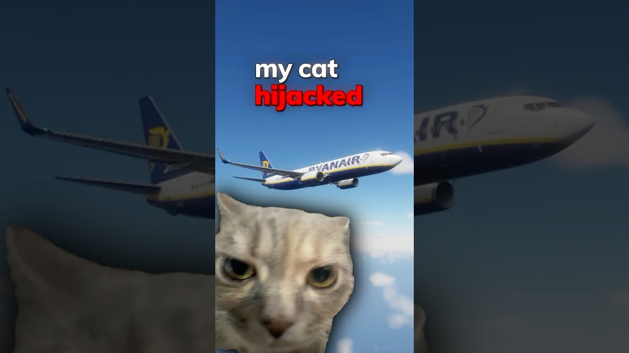 Cat Takes Over My Airplane! ✈️🐱