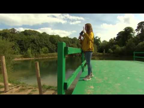 The Final - Rerun with 1 new Member