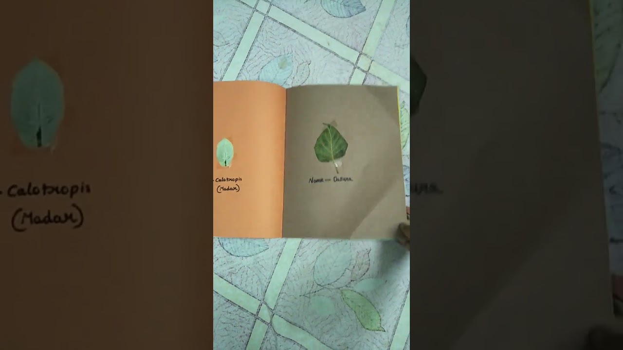 Create Your Own Beautiful Herbarium Scrapbook 🌿