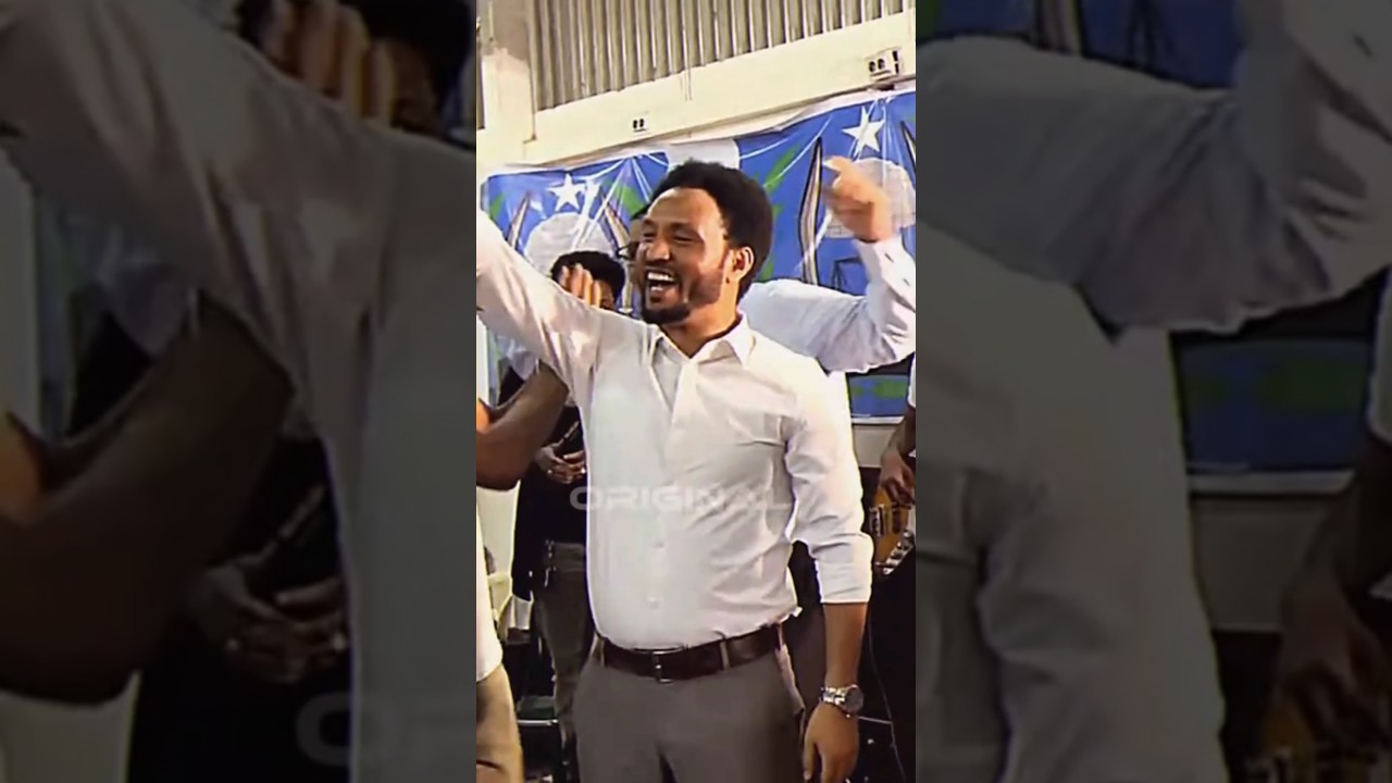 Adidas & Bergednhamedu Collaboration 🌟