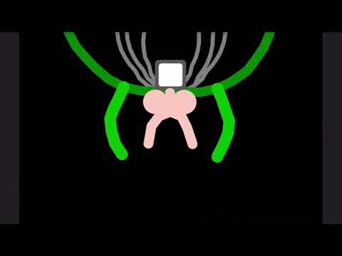 Omega Flowey Transformation