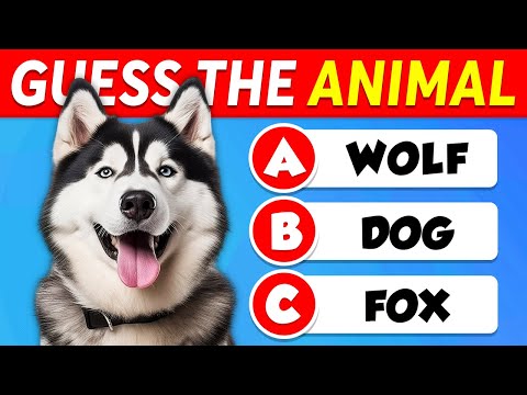 Can You Guess All 60 Animals? πΎ Test Your Animal Knowledge!