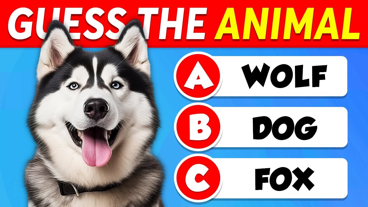 Can You Guess All 60 Animals? 🐾 Test Your Animal Knowledge!
