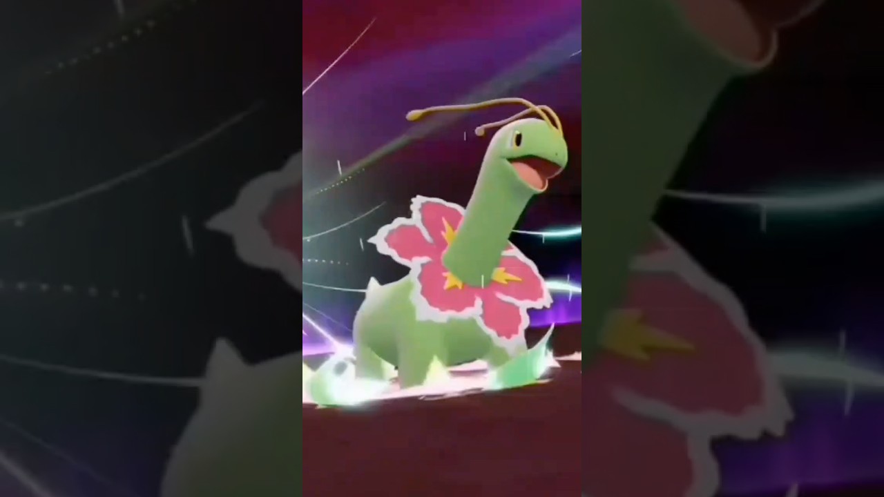 Mega Meganium Leaked for Pokémon ZA 🌿